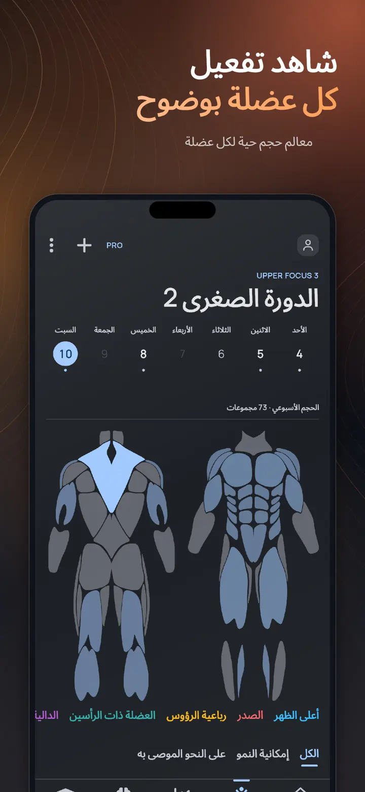 أسبوع من حجم العضلات بنظرة واحدة