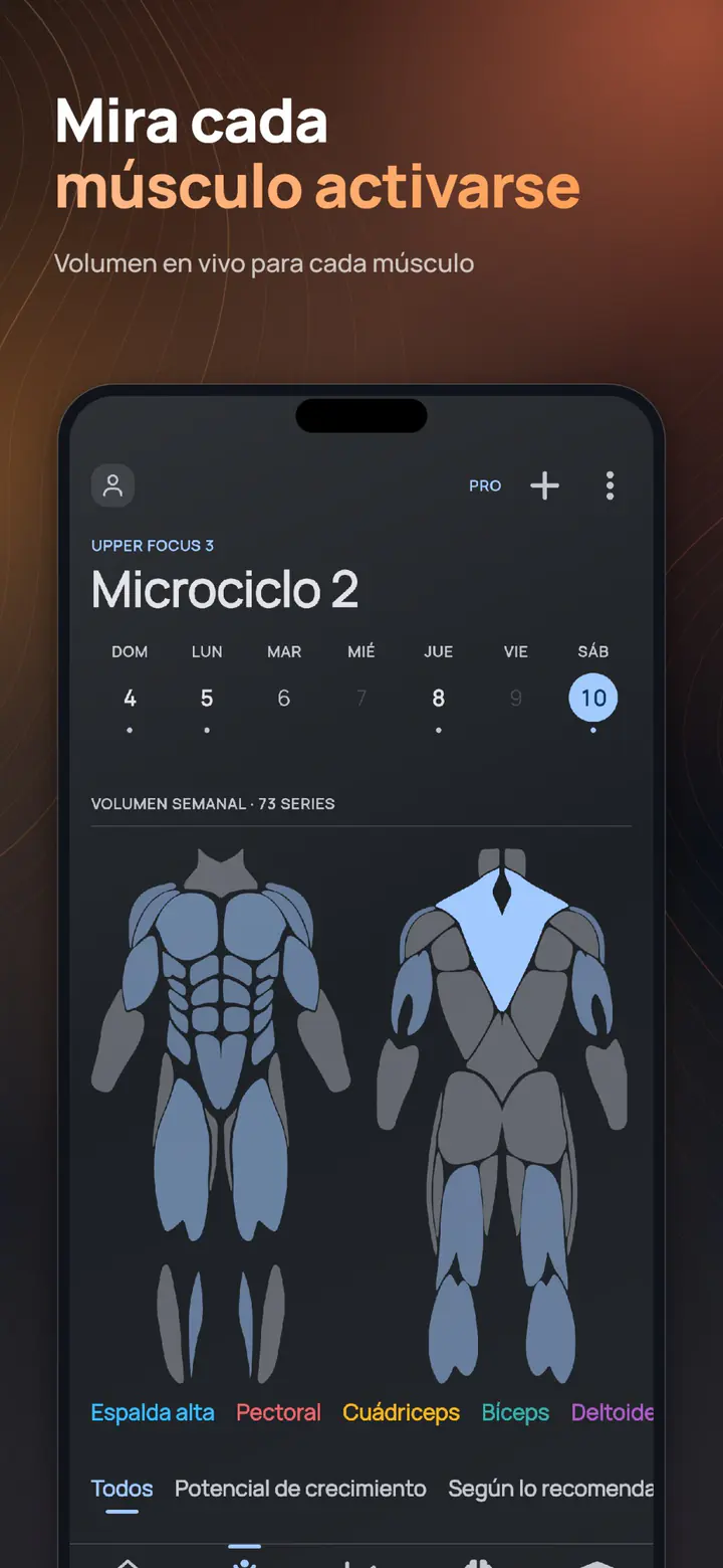 ELVT muscle heatmap – see every muscle light up with live volume landmarks