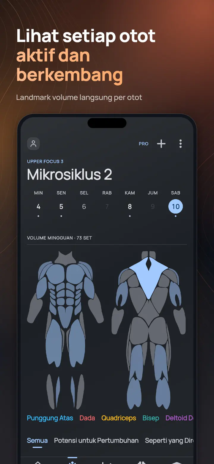 ELVT muscle heatmap – see every muscle light up with live volume landmarks