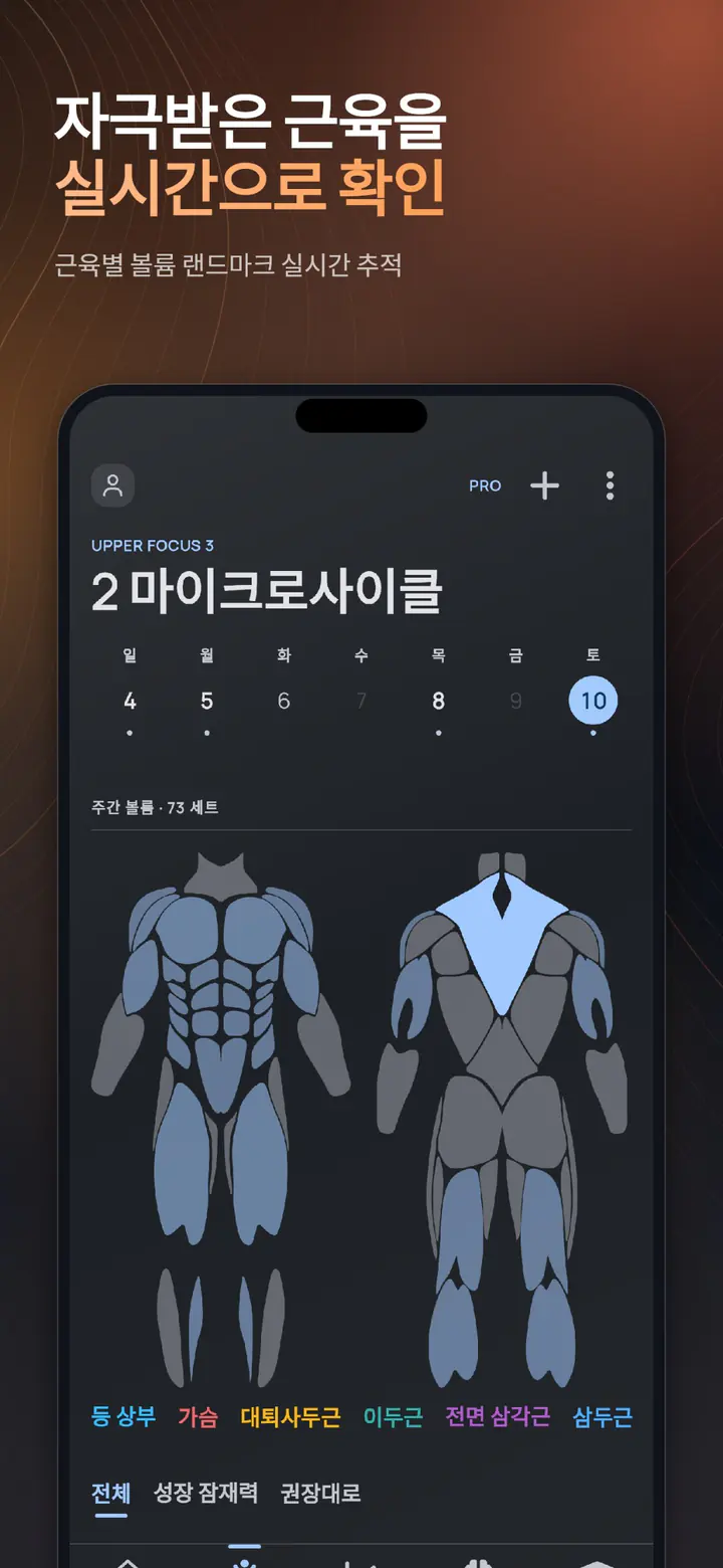 한눈에 보는 일주일 근육 볼륨